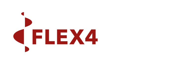 Logo FLEX4Neuroprofis 2308 1